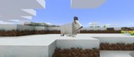 (Image via Minecraft)